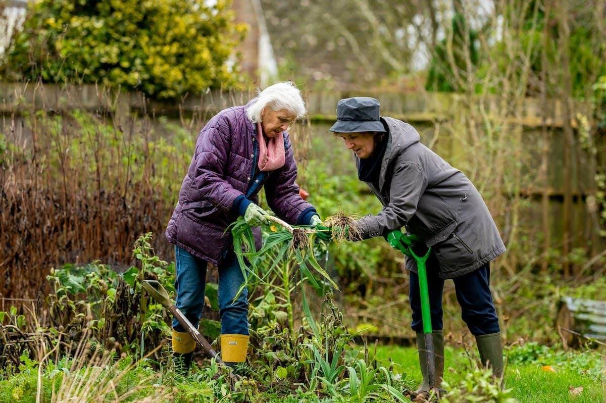 personnes âgées  jardinage